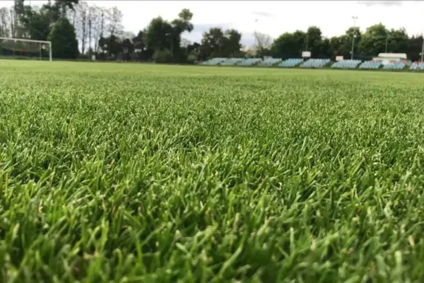 GLKS Burza Nowa Wieś Wielka przegrywa z Sportisem Łochowo 0:3