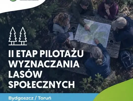 Konsultacje społeczne w sprawie lasów wokół Bydgoszczy i Torunia