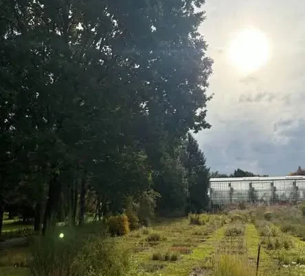 Uczniowie klas 7b i 7d odkrywali tajemnice roślin w bydgoskim Ogrodzie Botanicznym