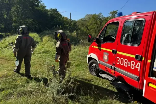 Rozkopane gniazdo os ziemnych w Parku Milenijnym w Bydgoszczy – interwencja OSP Fordon