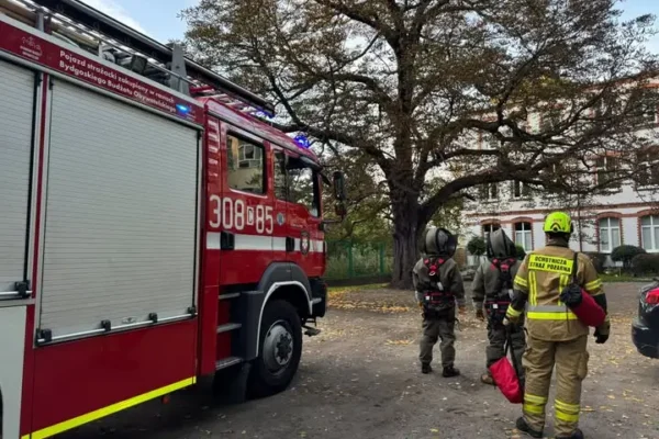 Gniazdo os w szkole branżowej przy ul. Grunwaldzkiej w Bydgoszczy — interwencja strażaków