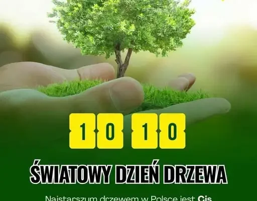 Światowy Dzień Drzewa – święto, które przypomina o najstarszym mieszkańcu polskich lasów