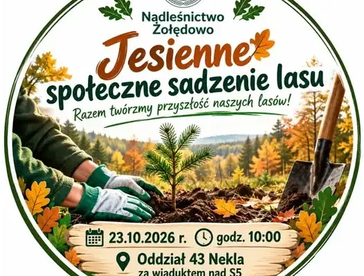 Gmina Dobrcz zaprasza na wspólne sadzenie lasu. Spotkanie już 23 października