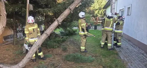 Osielsko: powalone drzewo uszkodziło budynek warsztatowy